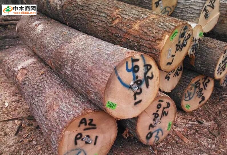 國際木材合法性貿易要求對木業企業的有利和不利影響分析