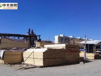 西藏最大！拉薩城投木材交易市場將迎300余戶商家入駐