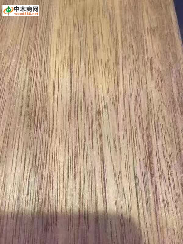 波蘿格
