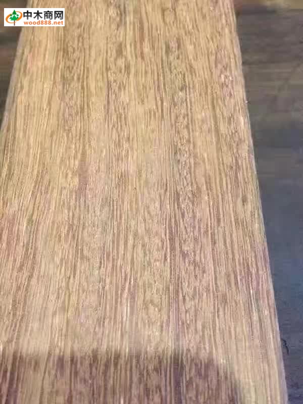 波蘿格