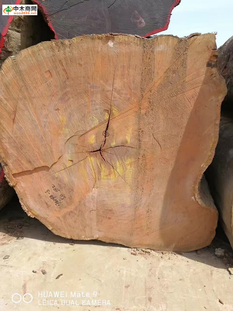 巴花