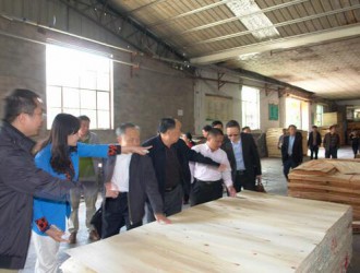 臨沂多家木業企業或將外遷到廣西貴港市