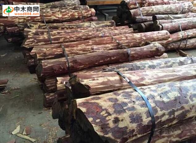 贊比亞紫檀究竟是什么木材?