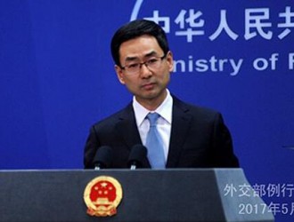 外交部：中方堅定支持剛果（金）打擊紅木走私行動