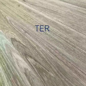 欖仁木（TER）