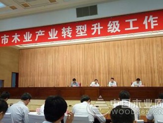 臨沂全市木業產業轉型升級工作動員大會召開 向木業強市的歷史性轉變