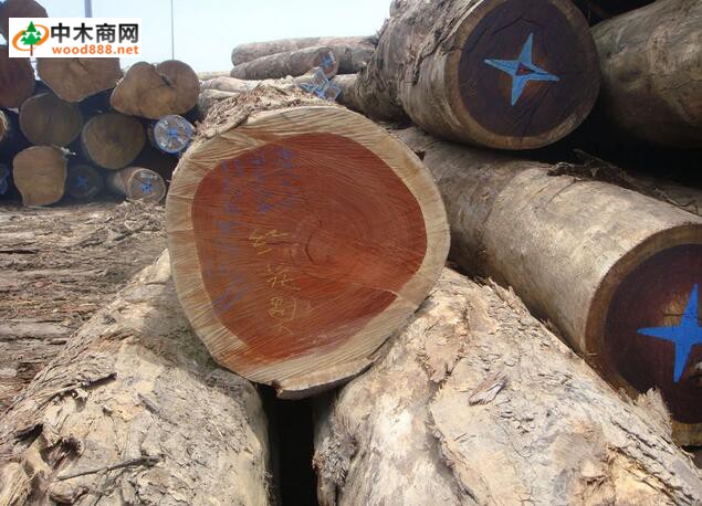 2017年歐洲熱帶木材貿(mào)易可望維持穩(wěn)定