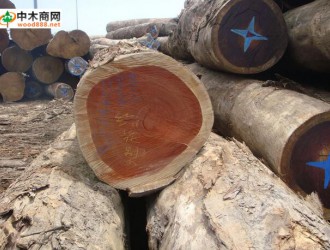 2017年歐洲熱帶木材貿(mào)易可望維持穩(wěn)定
