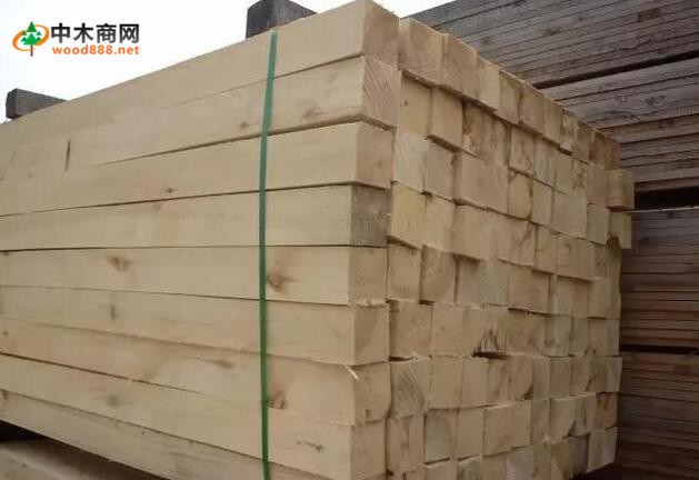 俄羅斯鋸材增產趨勢仍舊強勢，出口量持續攀升