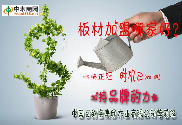 板材加盟|為什么都在搶著做百的寶板材的品牌代理商