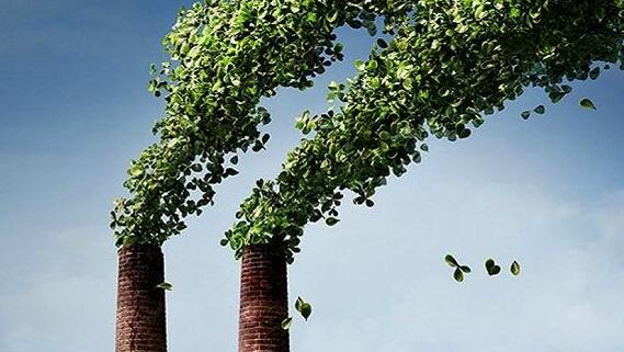環保督查趨嚴，為何受傷的總是木材加工企業？