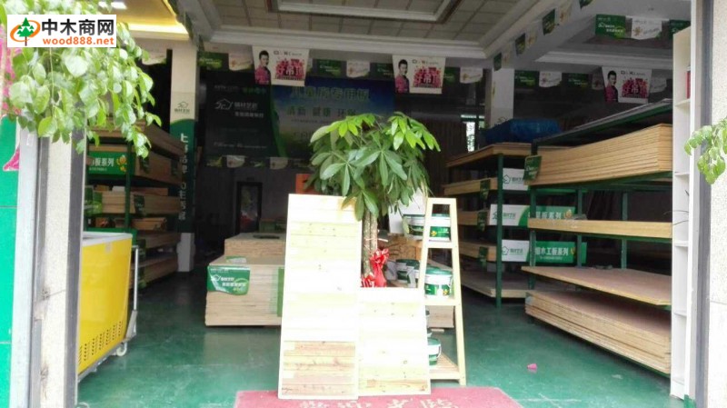體驗中國板材國內品牌精材藝匠臺州實體店風采