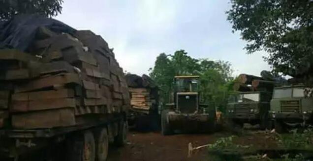 緬軍查獲138噸走私木材并抓獲13名中國籍公民
