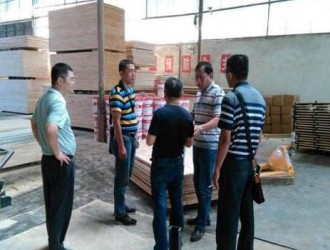云南景洪市抽查木材加工企業