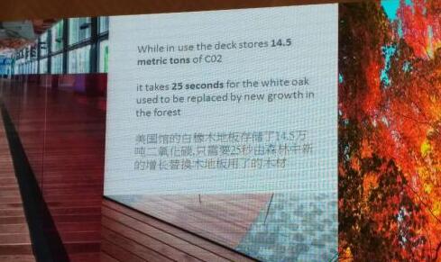簡直不敢相信：采伐木材有助于保護森林減少二氧化碳