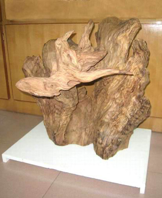  孤雁尋蹤（陰沉木）