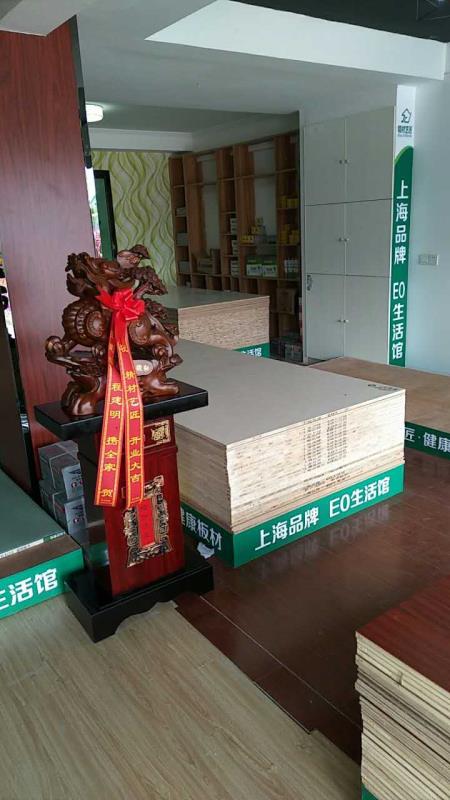 大牌駕到|中國板材國內品牌精材藝匠江蘇東臺店