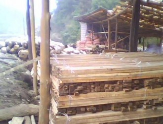 廣西天峨森林公安依法查處6家木材加工廠