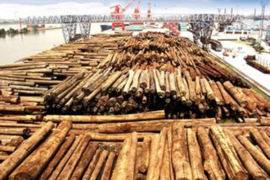 天津口岸上半年木材進口量呈下降態勢