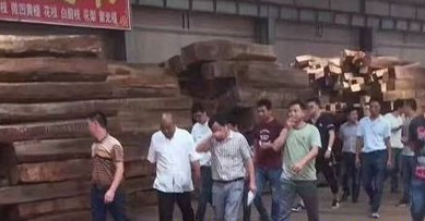 緬甸花梨大漲恐成定局，行業(yè)龍頭老大狂掃2800噸！