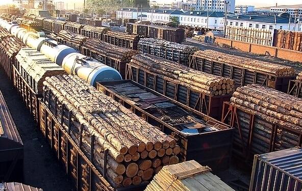 俄羅斯布拉戈維申斯克海關：2017年上半年木材出口增長13%