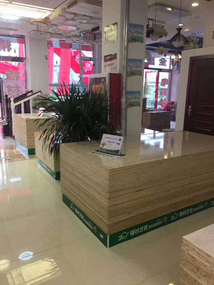 中國環(huán)保板材國內(nèi)品牌精材藝匠甘肅浪莊店