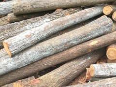 花秋原木及鋸材