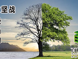 百的寶板材環保攻堅戰：同呼吸共擔當齊行動！