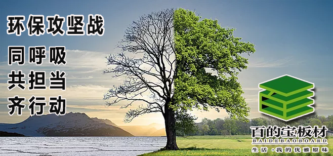 百的寶板材環保攻堅戰：同呼吸共擔當齊行動！