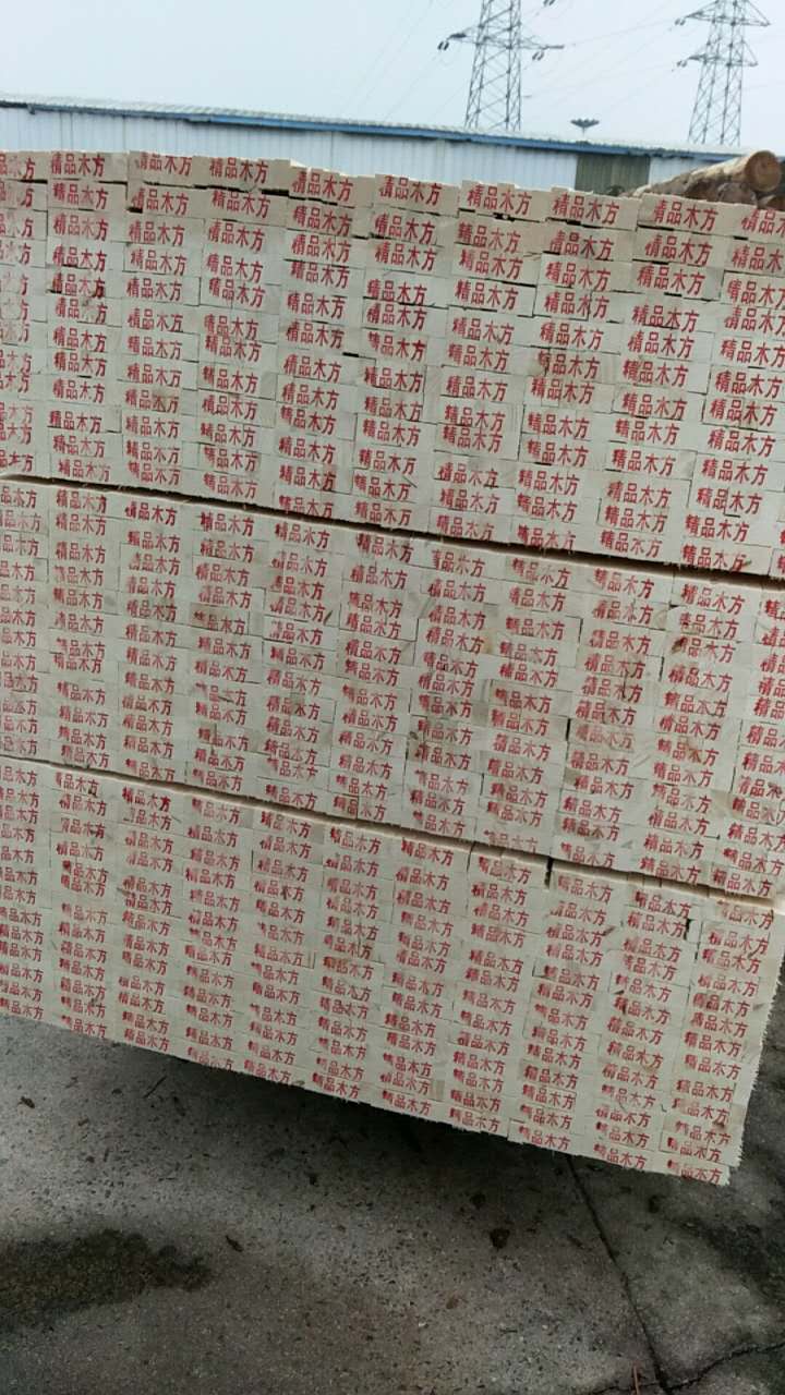 太倉(cāng)木龍骨