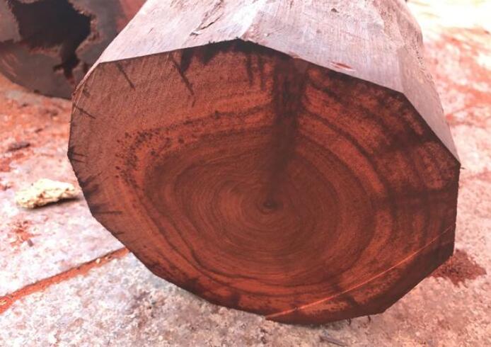 今天小編帶你們逛逛全國知名紅木批發集散地——福建仙游榜頭，這里有酸枝、花梨、紫檀等，高檔紅木應有盡有，仙游是紅木古典家具之都，同時也是紅木原料批發集散地，來到這里沒個三五天，你是逛不完的！ 賭木，帶你逛逛全國最大小葉紫檀批發集散地 古典家具之都 這里有上千家名貴紅木批發商 賭木，帶你逛逛全國最大小葉紫檀批發集散地 名貴紅木一條街 來看看大家是如何挑選小葉紫檀的 賭木，帶你逛逛全國最大小葉紫檀批發集散地 榜頭的小葉紫檀估計比印度還多，來到了一家小葉紫檀原料批發店 賭木，帶你逛逛全國最大小葉紫檀批發集散地 店家好任性啊，全場任切，要多長切多長 賭木，帶你逛逛全國最大小葉紫檀批發集散地 挑選的人，也是絡繹不絕，有拿斧頭的，有拿尺子和鐵絲的（鐵絲主要是量木頭里面空心） 賭木，帶你逛逛全國最大小葉紫檀批發集散地 賭木，帶你逛逛全國最大小葉紫檀批發集散地 挑了一棵，商量好價格，鋸下來就看運氣了，十檀九空 賭木，帶你逛逛全國最大小葉紫檀批發集散地 空心率還是很高的 賭木，帶你逛逛全國最大小葉紫檀批發集散地 賭木全憑運氣啊，這棵還是不錯的，幸運指數爆棚 賭木，帶你逛逛全國最大小葉紫檀批發集散地 下面這就是踩到狗屎了，大家說說還能做成什么工藝 賭木，帶你逛逛全國最大小葉紫檀批發集散地 賭木，帶你逛逛全國最大小葉紫檀批發集散地 賭木，帶你逛逛全國最大小葉紫檀批發集散地 稱一稱 賭木，帶你逛逛全國最大小葉紫檀批發集散地 賭木，帶你逛逛全國最大小葉紫檀批發集散地 收工打道回府啦，今天的總體成績還是不錯的 賭木，帶你逛逛全國最大小葉紫檀批發集散地