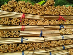長期出售桉木棍心規格直徑2.2到3.0