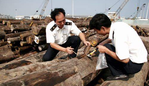 貴港口岸連續全國首次截獲外來有害生物