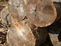 家私木 家私專用木 低價(jià) 便宜 質(zhì)量好 原木 實(shí)木
