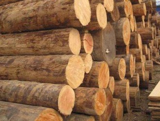 2017年上半年中國熱帶原木進(jìn)口量同比下降7%