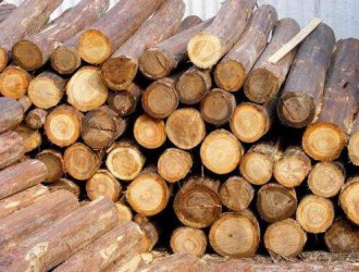 各國對木材出口嚴格管制 國內(nèi)市場迎來木材緊缺問題