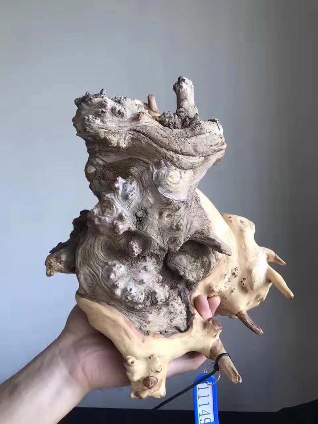 崖柏根雕具備哪些標準才有收藏價值？ 