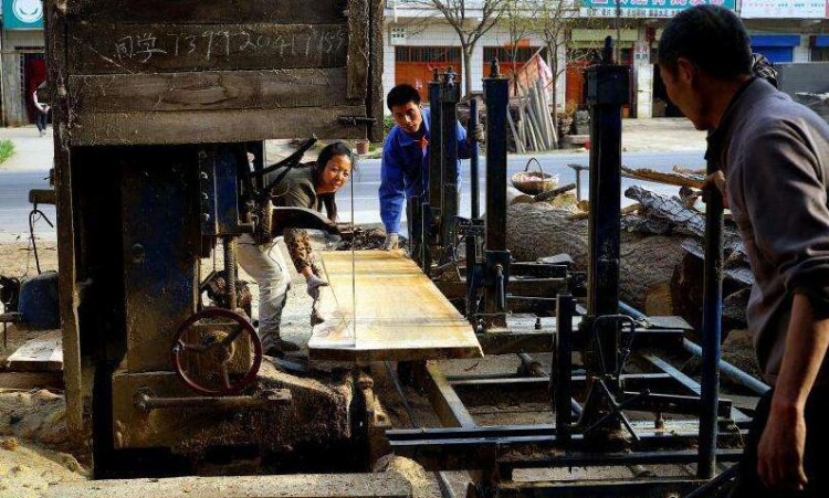 老撾截獲4車(chē)非法偷運(yùn)木材，并依法取締16家中國(guó)木材加工廠(chǎng)