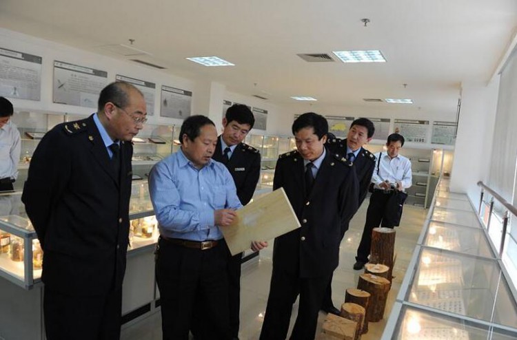 日照市林業局取消木材經營加工許可