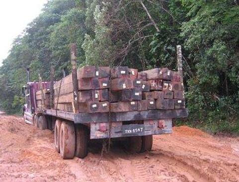 老撾截獲4輛非法偷運木材車輛