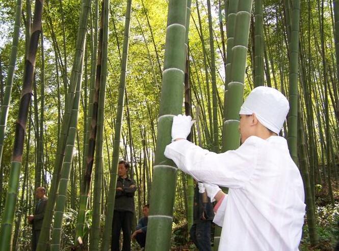竹筒酒廠家知識 竹筒酒知識關于酒的這些誤區