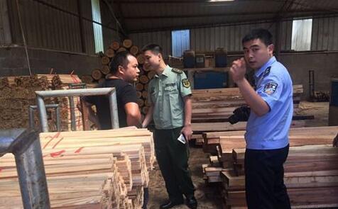 內蒙古莫爾道嘎開展木材加工經營專項整治行動
