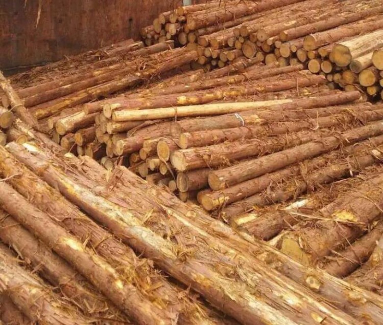日本出口的木材制品的合法性和可持續性