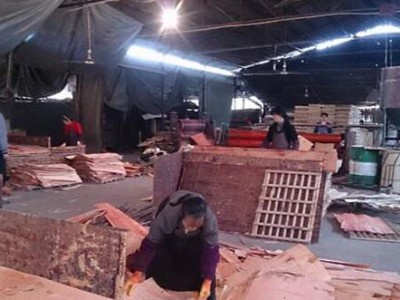 文昌兩家木材加工廠被責令整改