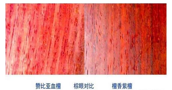 血檀與檀香紫檀的木質極其相近