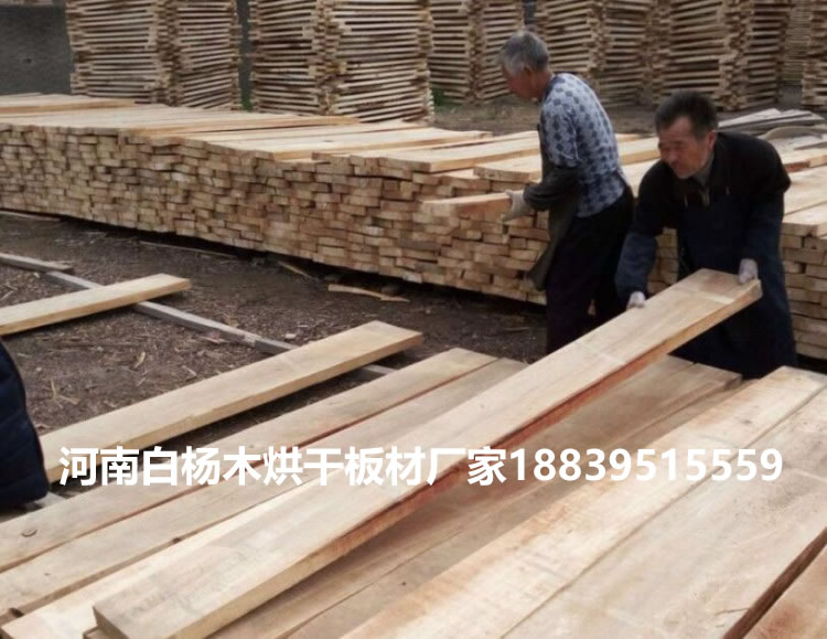 白楊木烘干板材圖片
