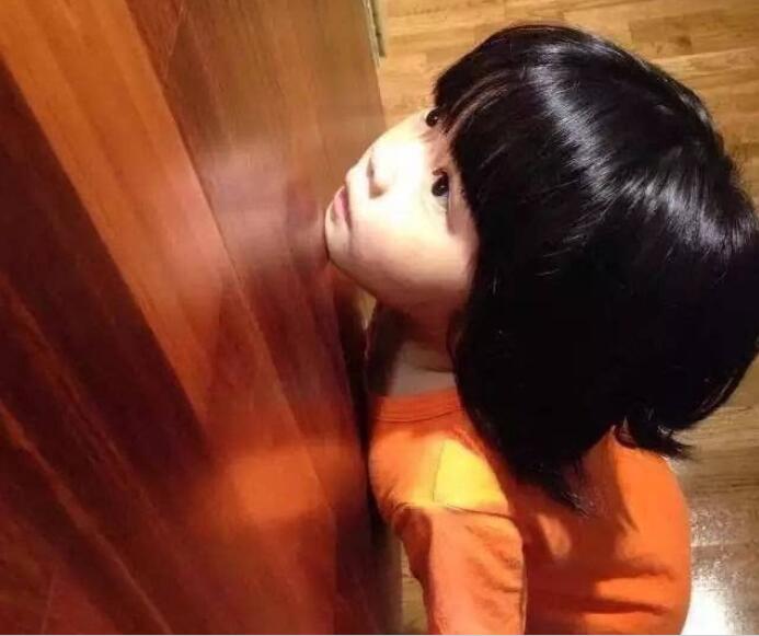 木材聽覺功效 