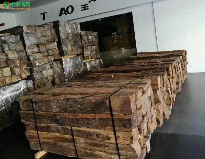 微凹黃檀的油性比交趾黃檀更大