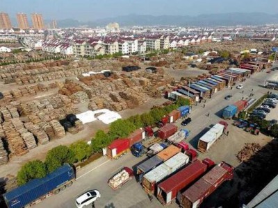 節后木材市場俏銷 場面壯觀