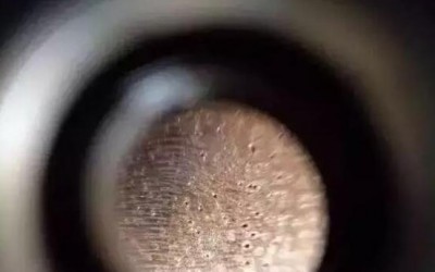 把金絲楠木放大100倍后的樣子,你有見過嗎?